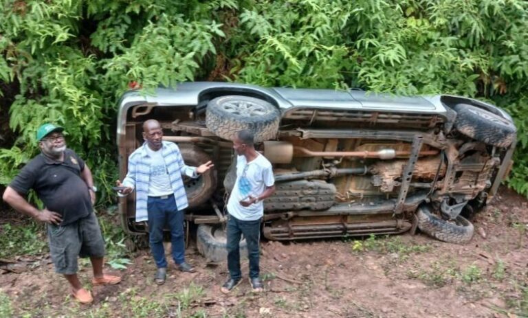 IMG-20250331-WA0011-780x470